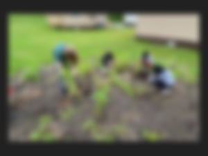 2023 green school app final (27)